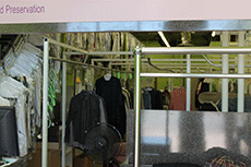 Storefront 02
